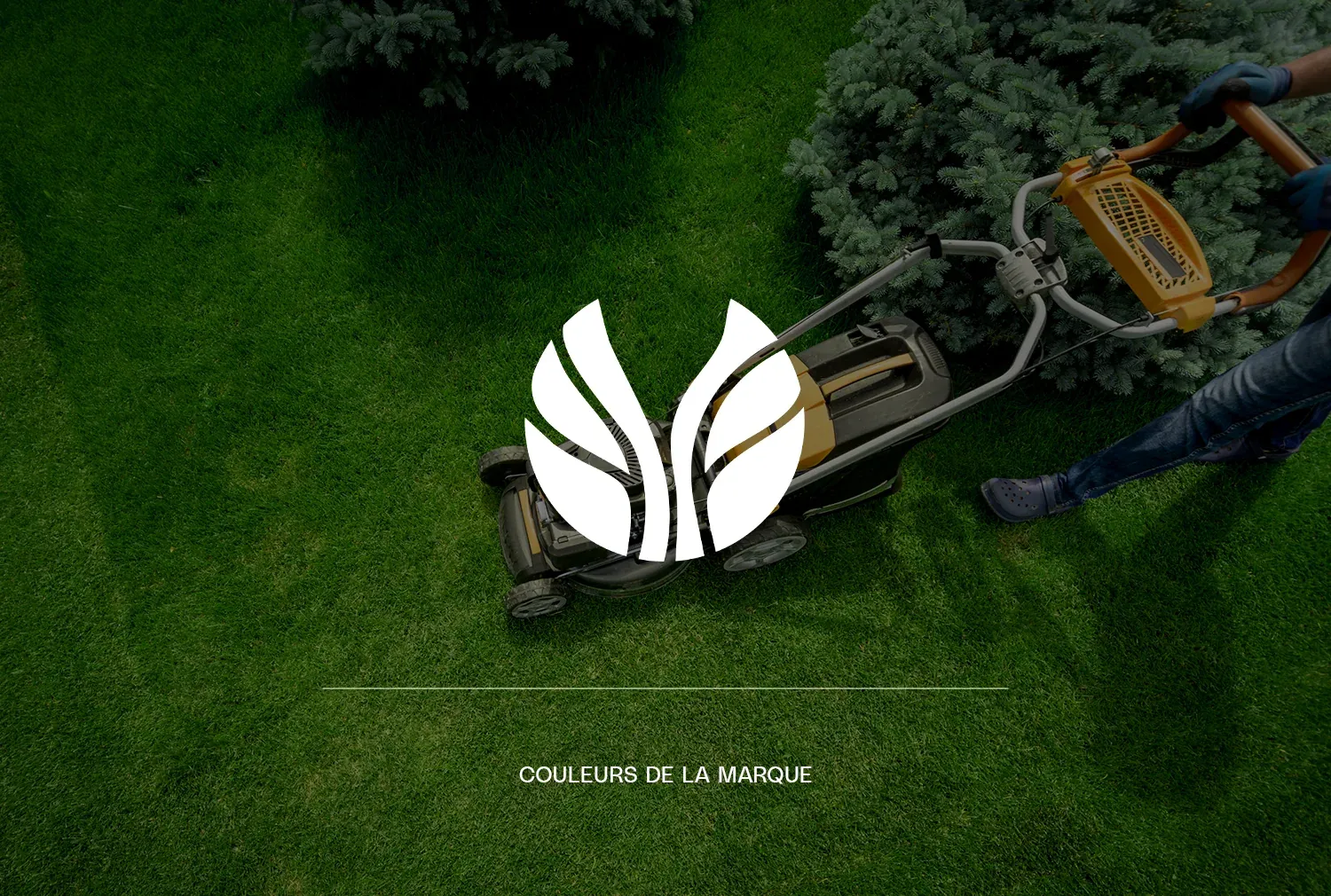Belamax: the white leaf mark over a freshly mown lawn, from the brand colour board