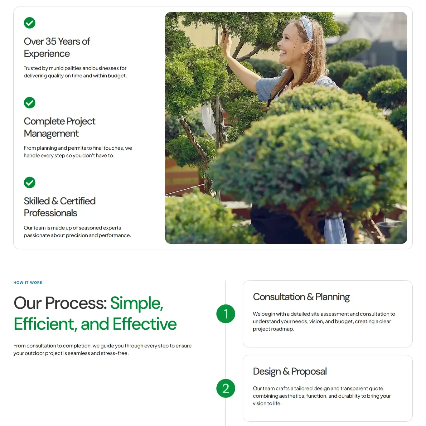 Belamax: WordPress build by Digital TEN X, a new portfolio, figma-first, then built clean