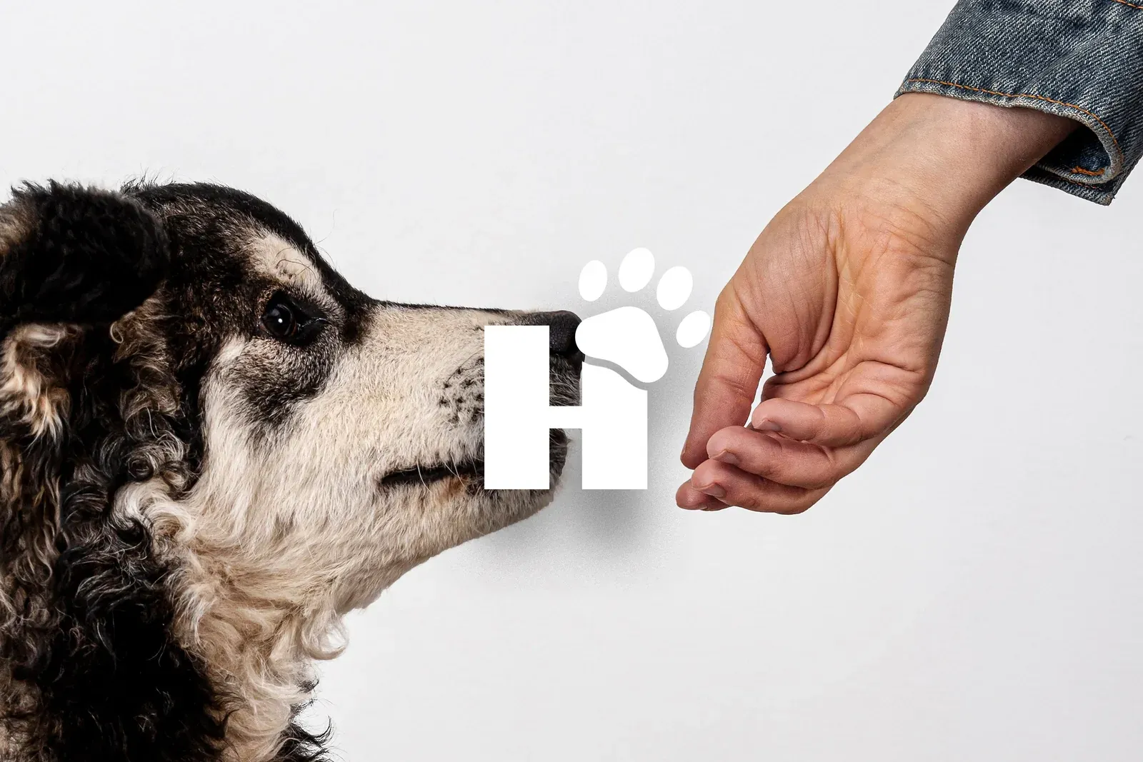 Hunde Stuff: the H-and-paw mark between a dog's nose and an open hand