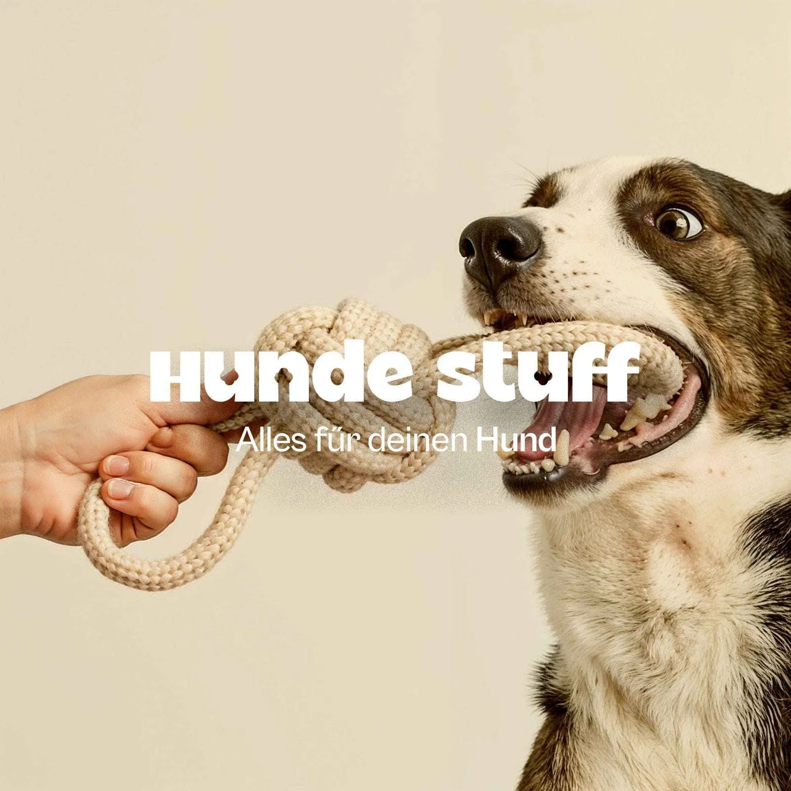 Hunde Stuff Shopify build, screen 3 of 12