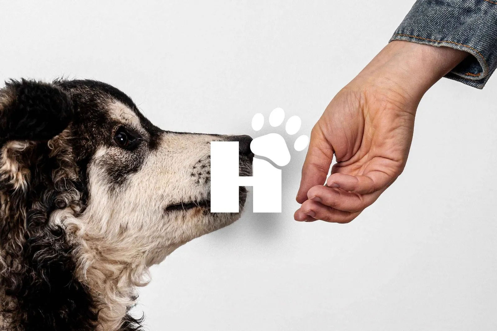 Hunde Stuff Shopify build, screen 8 of 12